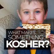 What Makes Something Kosher 